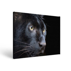 Холст прямоугольный с принтом Черная пантера , 100% ПВХ |  | Тематика изображения на принте: животные | кис | киска | кот | котенок | котик | кошечка | кошка | пантера | рысь | тигр | хищник