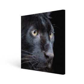 Холст квадратный с принтом Черная пантера , 100% ПВХ |  | животные | кис | киска | кот | котенок | котик | кошечка | кошка | пантера | рысь | тигр | хищник
