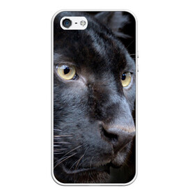 Чехол для iPhone 5/5S матовый с принтом Черная пантера , Силикон | Область печати: задняя сторона чехла, без боковых панелей | животные | кис | киска | кот | котенок | котик | кошечка | кошка | пантера | рысь | тигр | хищник