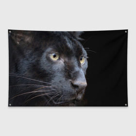 Флаг-баннер с принтом Черная пантера , 100% полиэстер | размер 67 х 109 см, плотность ткани — 95 г/м2; по краям флага есть четыре люверса для крепления | животные | кис | киска | кот | котенок | котик | кошечка | кошка | пантера | рысь | тигр | хищник