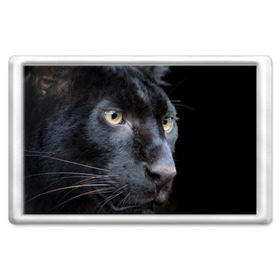 Магнит 45*70 с принтом Черная пантера , Пластик | Размер: 78*52 мм; Размер печати: 70*45 | животные | кис | киска | кот | котенок | котик | кошечка | кошка | пантера | рысь | тигр | хищник