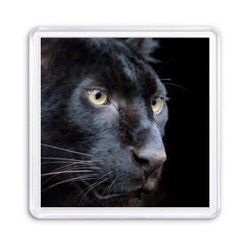 Магнит 55*55 с принтом Черная пантера , Пластик | Размер: 65*65 мм; Размер печати: 55*55 мм | Тематика изображения на принте: животные | кис | киска | кот | котенок | котик | кошечка | кошка | пантера | рысь | тигр | хищник