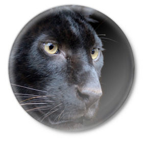 Значок с принтом Черная пантера ,  металл | круглая форма, металлическая застежка в виде булавки | животные | кис | киска | кот | котенок | котик | кошечка | кошка | пантера | рысь | тигр | хищник