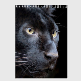 Скетчбук с принтом Черная пантера , 100% бумага
 | 48 листов, плотность листов — 100 г/м2, плотность картонной обложки — 250 г/м2. Листы скреплены сверху удобной пружинной спиралью | животные | кис | киска | кот | котенок | котик | кошечка | кошка | пантера | рысь | тигр | хищник