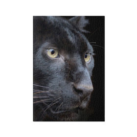 Обложка для паспорта матовая кожа с принтом Черная пантера , натуральная матовая кожа | размер 19,3 х 13,7 см; прозрачные пластиковые крепления | животные | кис | киска | кот | котенок | котик | кошечка | кошка | пантера | рысь | тигр | хищник