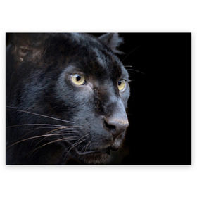 Поздравительная открытка с принтом Черная пантера , 100% бумага | плотность бумаги 280 г/м2, матовая, на обратной стороне линовка и место для марки
 | Тематика изображения на принте: животные | кис | киска | кот | котенок | котик | кошечка | кошка | пантера | рысь | тигр | хищник