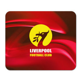 Коврик прямоугольный с принтом Liverpool , натуральный каучук | размер 230 х 185 мм; запечатка лицевой стороны | football | англия | ливерпуль | премьер лига | фанат | футбол | футболист