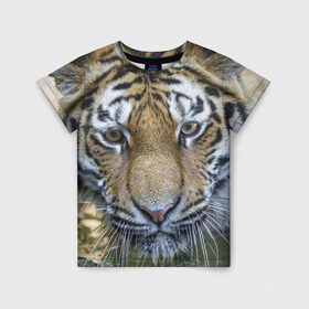 Детская футболка 3D с принтом Тигр , 100% гипоаллергенный полиэфир | прямой крой, круглый вырез горловины, длина до линии бедер, чуть спущенное плечо, ткань немного тянется | Тематика изображения на принте: животные | кошка | лев | тигр | тигренок | тигрица | хищник