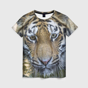 Женская футболка 3D с принтом Тигр , 100% полиэфир ( синтетическое хлопкоподобное полотно) | прямой крой, круглый вырез горловины, длина до линии бедер | животные | кошка | лев | тигр | тигренок | тигрица | хищник