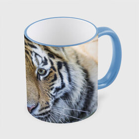 Кружка 3D с принтом Тигр , керамика | ёмкость 330 мл | животные | кошка | лев | тигр | тигренок | тигрица | хищник
