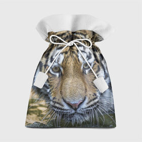 Подарочный 3D мешок с принтом Тигр , 100% полиэстер | Размер: 29*39 см | Тематика изображения на принте: животные | кошка | лев | тигр | тигренок | тигрица | хищник