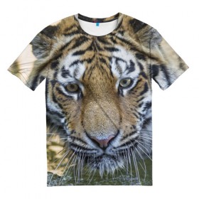 Мужская футболка 3D с принтом Тигр , 100% полиэфир | прямой крой, круглый вырез горловины, длина до линии бедер | животные | кошка | лев | тигр | тигренок | тигрица | хищник