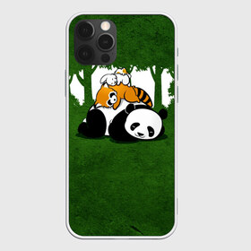 Чехол для iPhone 12 Pro Max с принтом Милая панда , Силикон |  | Тематика изображения на принте: большая | джунгли | енот | зайка | милая | панда | пушистая