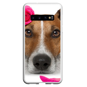 Чехол для Samsung Galaxy S10 с принтом Джек рассел с розой , Силикон | Область печати: задняя сторона чехла, без боковых панелей | волкодав | дворняжка | джек | джек рассел | домашние животные | любимец | мопс | овчарка | пес | песик | питомец | рассел | сенбернар | собака | собачка