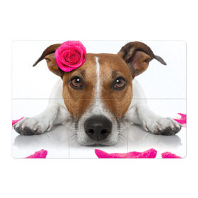 Магнитный плакат 3Х2 с принтом Джек рассел с розой , Полимерный материал с магнитным слоем | 6 деталей размером 9*9 см | волкодав | дворняжка | джек | джек рассел | домашние животные | любимец | мопс | овчарка | пес | песик | питомец | рассел | сенбернар | собака | собачка