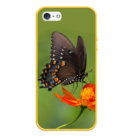 Чехол для iPhone 5/5S матовый с принтом Бабочка 4 , Силикон | Область печати: задняя сторона чехла, без боковых панелей | бабочка | цветок