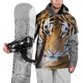 Накидка на куртку 3D с принтом Тигр , 100% полиэстер |  | Тематика изображения на принте: амурский | животные | киса | кот | котенок | кошка | пума | рысь | серый | тигр | хищник
