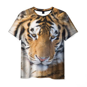 Мужская футболка 3D с принтом Тигр , 100% полиэфир | прямой крой, круглый вырез горловины, длина до линии бедер | Тематика изображения на принте: амурский | животные | киса | кот | котенок | кошка | пума | рысь | серый | тигр | хищник