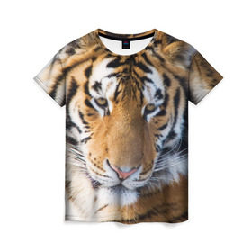 Женская футболка 3D с принтом Тигр , 100% полиэфир ( синтетическое хлопкоподобное полотно) | прямой крой, круглый вырез горловины, длина до линии бедер | амурский | животные | киса | кот | котенок | кошка | пума | рысь | серый | тигр | хищник