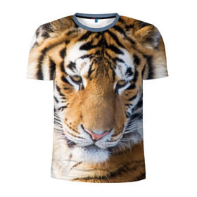 Мужская футболка 3D спортивная с принтом Тигр , 100% полиэстер с улучшенными характеристиками | приталенный силуэт, круглая горловина, широкие плечи, сужается к линии бедра | амурский | животные | киса | кот | котенок | кошка | пума | рысь | серый | тигр | хищник
