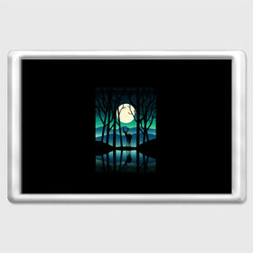 Магнит 45*70 с принтом Ночная природа , Пластик | Размер: 78*52 мм; Размер печати: 70*45 | forest | lake | moon | nature | night | star | wood | звезды | лес | луна | ночь | озеро | природа