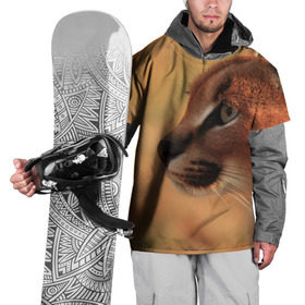 Накидка на куртку 3D с принтом Рысь , 100% полиэстер |  | амурский | животные | киса | кот | котенок | кошка | пума | рысь | серый | тигр | хищник