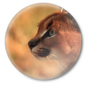 Значок с принтом Рысь ,  металл | круглая форма, металлическая застежка в виде булавки | амурский | животные | киса | кот | котенок | кошка | пума | рысь | серый | тигр | хищник