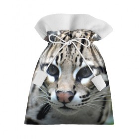 Подарочный 3D мешок с принтом Дикая кошка , 100% полиэстер | Размер: 29*39 см | амурский | животные | киса | кот | котенок | кошка | лев | львица | пума | рысь | серый | тигр | хищник