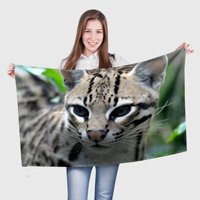 Флаг 3D с принтом Дикая кошка , 100% полиэстер | плотность ткани — 95 г/м2, размер — 67 х 109 см. Принт наносится с одной стороны | амурский | животные | киса | кот | котенок | кошка | лев | львица | пума | рысь | серый | тигр | хищник