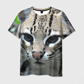 Мужская футболка 3D с принтом Дикая кошка , 100% полиэфир | прямой крой, круглый вырез горловины, длина до линии бедер | амурский | животные | киса | кот | котенок | кошка | лев | львица | пума | рысь | серый | тигр | хищник