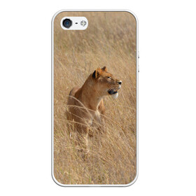Чехол для iPhone 5/5S матовый с принтом Львица в траве , Силикон | Область печати: задняя сторона чехла, без боковых панелей | амурский | животные | киса | кот | котенок | кошка | лев | львица | пума | рысь | серый | тигр | хищник