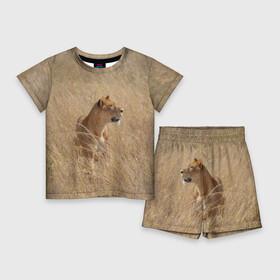 Детский костюм с шортами 3D с принтом Львица в траве ,  |  | амурский | животные | киса | кот | котенок | кошка | лев | львица | пума | рысь | серый | тигр | хищник