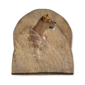 Шапка 3D с принтом Львица в траве , 100% полиэстер | универсальный размер, печать по всей поверхности изделия | амурский | животные | киса | кот | котенок | кошка | лев | львица | пума | рысь | серый | тигр | хищник