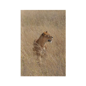 Обложка для паспорта матовая кожа с принтом Львица в траве , натуральная матовая кожа | размер 19,3 х 13,7 см; прозрачные пластиковые крепления | амурский | животные | киса | кот | котенок | кошка | лев | львица | пума | рысь | серый | тигр | хищник