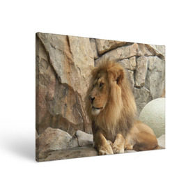 Холст прямоугольный с принтом Лев , 100% ПВХ |  | Тематика изображения на принте: амурский | животные | киса | кот | котенок | кошка | лев | львица | пума | рысь | серый | тигр | хищник