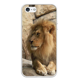 Чехол для iPhone 5/5S матовый с принтом Лев , Силикон | Область печати: задняя сторона чехла, без боковых панелей | амурский | животные | киса | кот | котенок | кошка | лев | львица | пума | рысь | серый | тигр | хищник