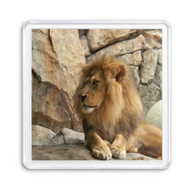 Магнит 55*55 с принтом Лев , Пластик | Размер: 65*65 мм; Размер печати: 55*55 мм | Тематика изображения на принте: амурский | животные | киса | кот | котенок | кошка | лев | львица | пума | рысь | серый | тигр | хищник