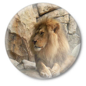 Значок с принтом Лев ,  металл | круглая форма, металлическая застежка в виде булавки | Тематика изображения на принте: амурский | животные | киса | кот | котенок | кошка | лев | львица | пума | рысь | серый | тигр | хищник