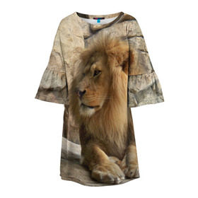 Детское платье 3D с принтом Лев , 100% полиэстер | прямой силуэт, чуть расширенный к низу. Круглая горловина, на рукавах — воланы | амурский | животные | киса | кот | котенок | кошка | лев | львица | пума | рысь | серый | тигр | хищник