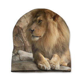 Шапка 3D с принтом Лев , 100% полиэстер | универсальный размер, печать по всей поверхности изделия | амурский | животные | киса | кот | котенок | кошка | лев | львица | пума | рысь | серый | тигр | хищник