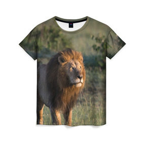 Женская футболка 3D с принтом Лев , 100% полиэфир ( синтетическое хлопкоподобное полотно) | прямой крой, круглый вырез горловины, длина до линии бедер | амурский | животные | киса | кот | котенок | кошка | лев | львица | пума | рысь | серый | тигр | хищник