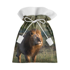 Подарочный 3D мешок с принтом Лев , 100% полиэстер | Размер: 29*39 см | амурский | животные | киса | кот | котенок | кошка | лев | львица | пума | рысь | серый | тигр | хищник