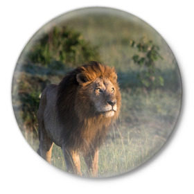 Значок с принтом Лев ,  металл | круглая форма, металлическая застежка в виде булавки | Тематика изображения на принте: амурский | животные | киса | кот | котенок | кошка | лев | львица | пума | рысь | серый | тигр | хищник
