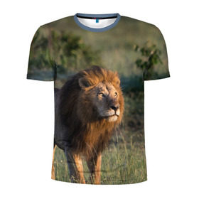 Мужская футболка 3D спортивная с принтом Лев , 100% полиэстер с улучшенными характеристиками | приталенный силуэт, круглая горловина, широкие плечи, сужается к линии бедра | амурский | животные | киса | кот | котенок | кошка | лев | львица | пума | рысь | серый | тигр | хищник