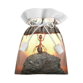 Подарочный 3D мешок с принтом Муравей , 100% полиэстер | Размер: 29*39 см | Тематика изображения на принте: ветка | жук | закат | камень | муравей | насекомые | природа