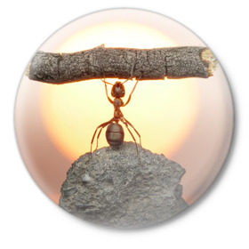 Значок с принтом Муравей ,  металл | круглая форма, металлическая застежка в виде булавки | ветка | жук | закат | камень | муравей | насекомые | природа