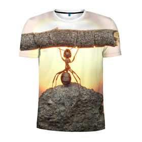 Мужская футболка 3D спортивная с принтом Муравей , 100% полиэстер с улучшенными характеристиками | приталенный силуэт, круглая горловина, широкие плечи, сужается к линии бедра | ветка | жук | закат | камень | муравей | насекомые | природа