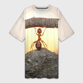 Платье-футболка 3D с принтом Муравей ,  |  | ветка | жук | закат | камень | муравей | насекомые | природа
