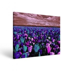 Холст прямоугольный с принтом Поле тюльпанов , 100% ПВХ |  | flower | весна | поле | полевой цветок | природа | цветочки | цветы