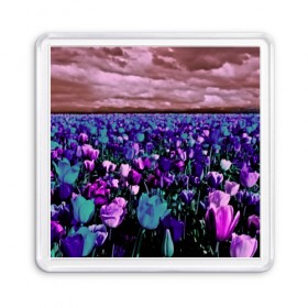 Магнит 55*55 с принтом Поле тюльпанов , Пластик | Размер: 65*65 мм; Размер печати: 55*55 мм | flower | весна | поле | полевой цветок | природа | цветочки | цветы